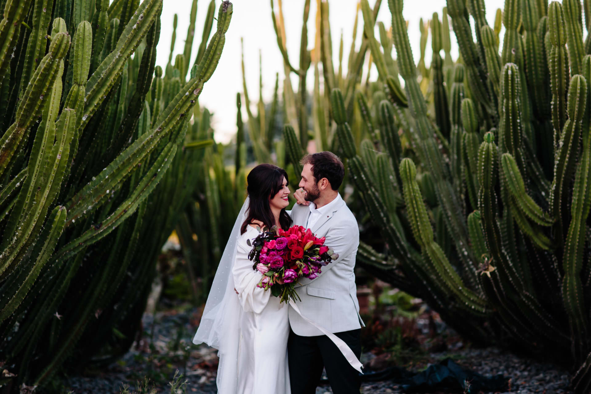 Hamilton Cactus Garden wedding photo of bride and groom at sunset